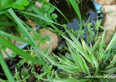 Grâce à la formation « Invitez la permaculture dans votre jardin », Myriam et Déborah ont transformé un parking en jardin potager résilient.