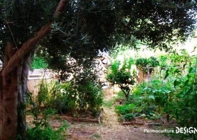 Grâce à la formation « Invitez la permaculture dans votre jardin », Myriam et Déborah ont transformé un parking en jardin potager résilient.