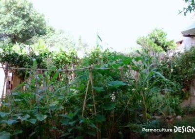 Grâce à la formation « Invitez la permaculture dans votre jardin », Myriam et Déborah ont transformé un parking en jardin potager résilient.