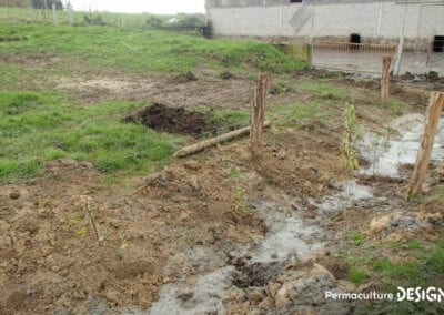 ​​Lauriane et Charles Durant, gérants de la Ferme du Vieux Poirier en Alsace depuis 2012, nous expliquent comment et pourquoi ils ont transformé leur micro-ferme grâce à la permaculture.