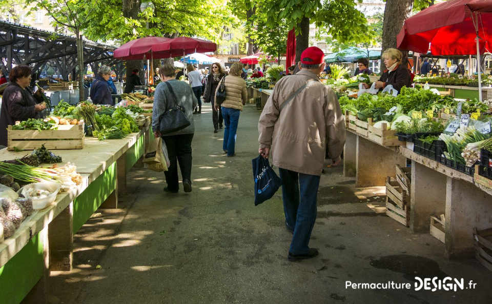 Quel type de maraîcher devenir quand on se lance dans cette activité agricole : en conventionnel, en bio ou en permaculture ?
