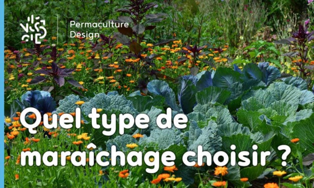 ​​Maraîchers conventionnels, bio ou en permaculture, quelles différences ?