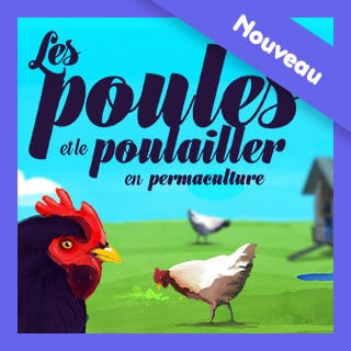 Invitez la permaculture dans votre jardin