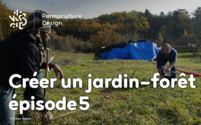 Créer collectivement un jardin-forêt en permaculture : épisode 5, le bilan après un an d’aventure !