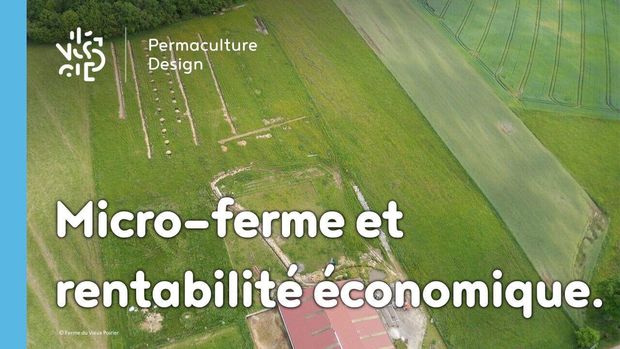 Gérants d’une micro-ferme en permaculture, Lauriane et Charles nous expliquent comment ils ont atteint la rentabilité économique suffisante pour pérenniser leur exploitation.