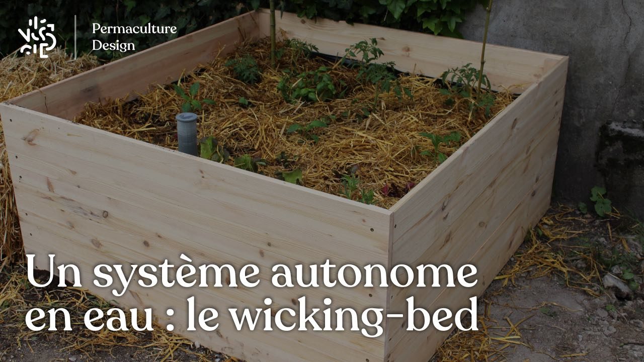 Wicking bed, la jardinière autonome en eau