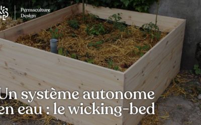 Wicking bed, la jardinière autonome en eau