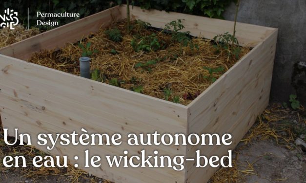 Wicking bed, la jardinière autonome en eau