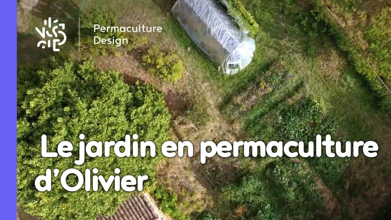 Le jardin en permaculture d’Olivier près de Toulouse lui permet d’apprendre, d’expérimenter et il inspire en plus son voisinage.