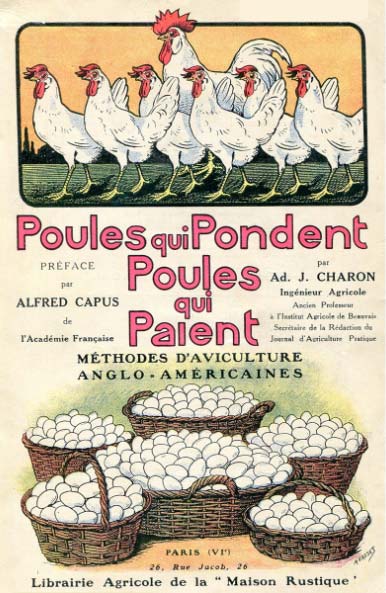 Hervé Husson nous raconte la vraie nature de la poule, ses origines et l’histoire de son élevage à travers les âges.