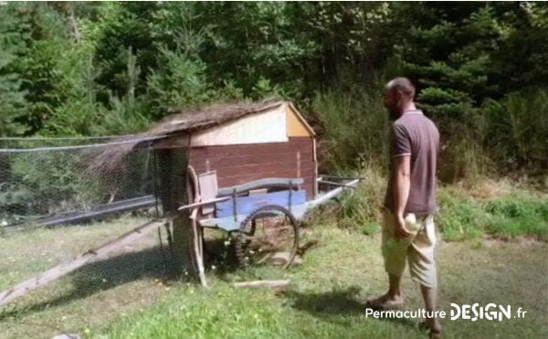 Romain observe et expérimente la permaculture dans son jardin: potager, buttes, terrasses, mares, arbres fruitiers, poules, serre souterraine, tout est réuni pour avoir de belles récoltes.