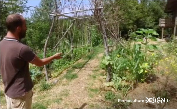 Romain observe et expérimente la permaculture dans son jardin: potager, buttes, terrasses, mares, arbres fruitiers, poules, serre souterraine, tout est réuni pour avoir de belles récoltes.