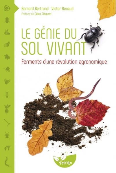 Comment avoir un sol fertile avec la permaculture : les bases