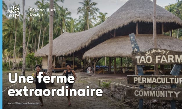 La ferme en permaculture Tao de Jack Footit et Eddie Brock