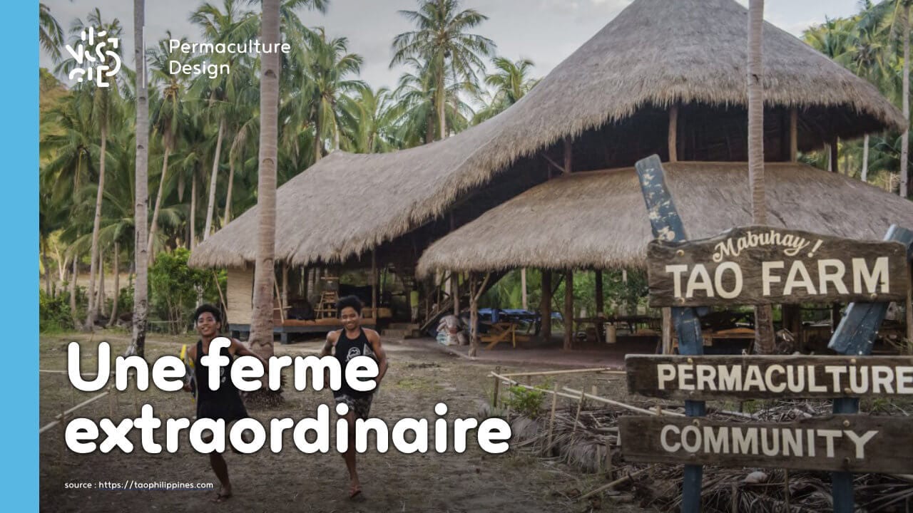 La ferme en permaculture Tao de Jack Footit et Eddie Brock