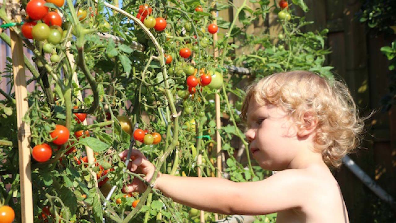 Comment faire découvrir la permaculture aux enfants ?