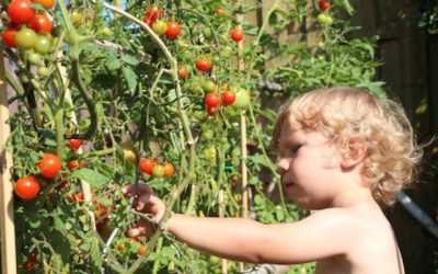 Comment faire découvrir la permaculture aux enfants ?
