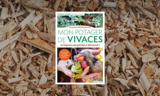 Livre Mon potager de vivaces : 70 légumes perpétuels à découvrir