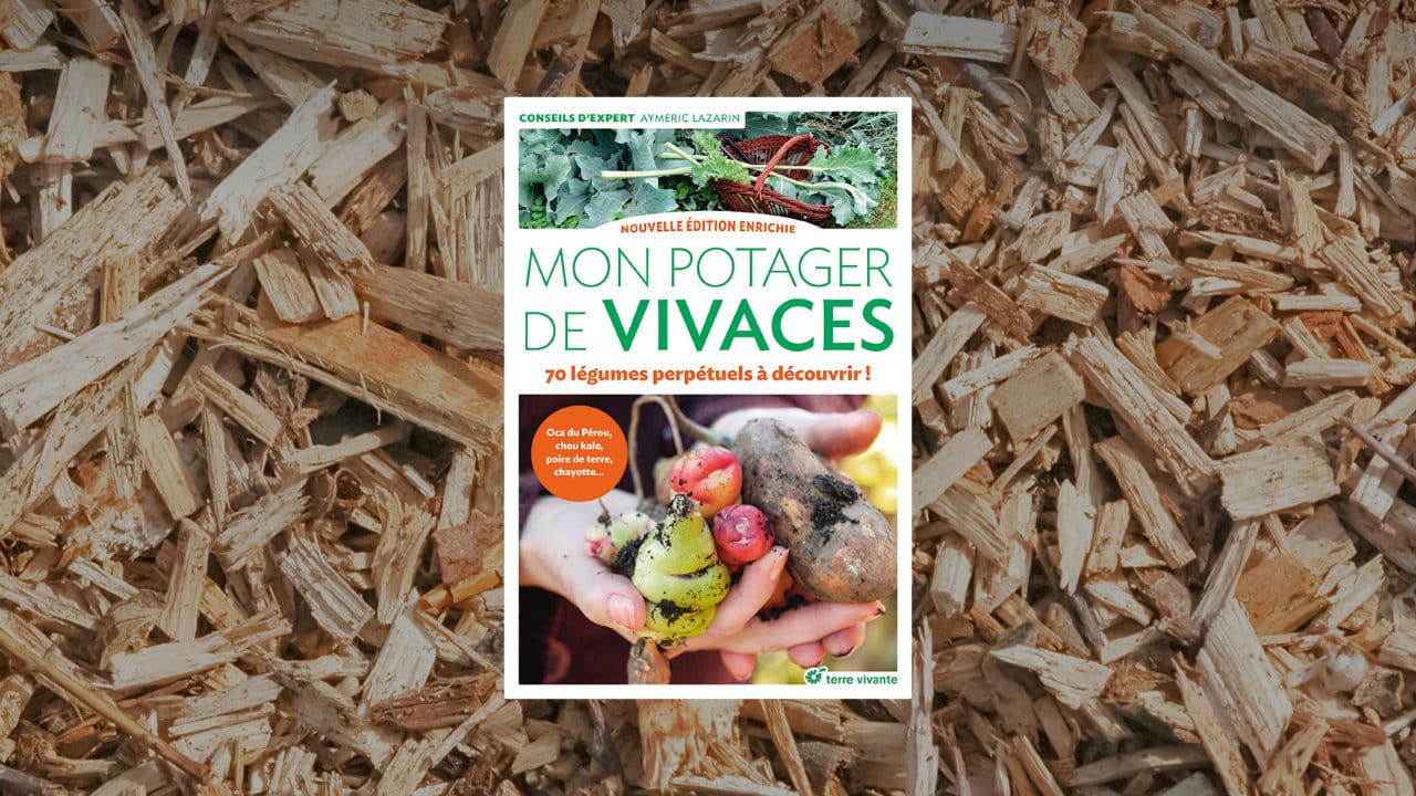 Image du livre Mon potager de vivaces : 70 légumes perpétuels à découvrir écrit par Aymeric Lazarin aux Éditions Terre vivante.