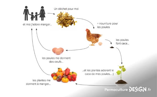 Conseils et idées ludiques pour faire découvrir la permaculture aux enfants et resserrer leur lien avec la nature tout en développant leur imagination et leur créativité !!