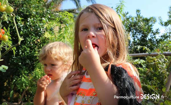 Conseils et idées ludiques pour faire découvrir la permaculture aux enfants et resserrer leur lien avec la nature tout en développant leur imagination et leur créativité !!