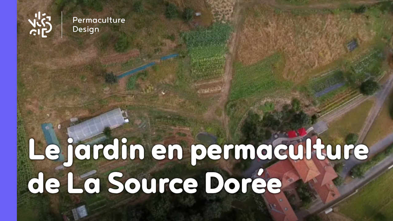 Un écolieu remarquable avec un jardin en permaculture où le maraîchage sert directement à fournir le restaurant de la maison d’hôtes.