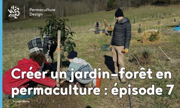 Créer collectivement un jardin-forêt en permaculture : épisode 7