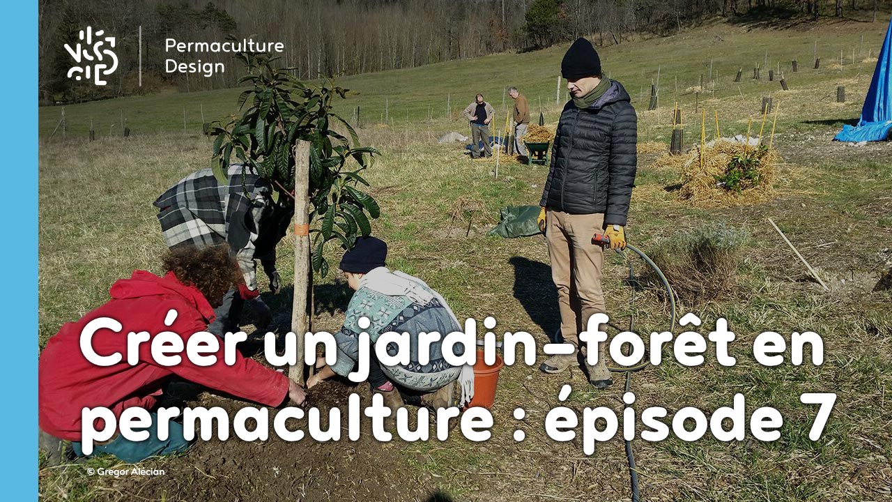 Créer collectivement un jardin-forêt en permaculture : épisode 7