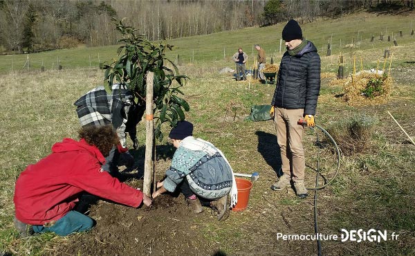 Point sur la troisième année d’évolution du jardin-forêt comestible en permaculture créé dans le cadre du projet collectif TERA.