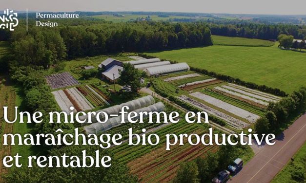 Une micro-ferme en maraîchage bio productive et rentable : les Jardins de la Grelinette !