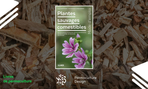 Livre Plantes sauvages comestibles, mode d’emploi