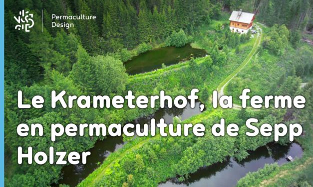 Le Krameterhof : la ferme en permaculture de Sepp Holzer