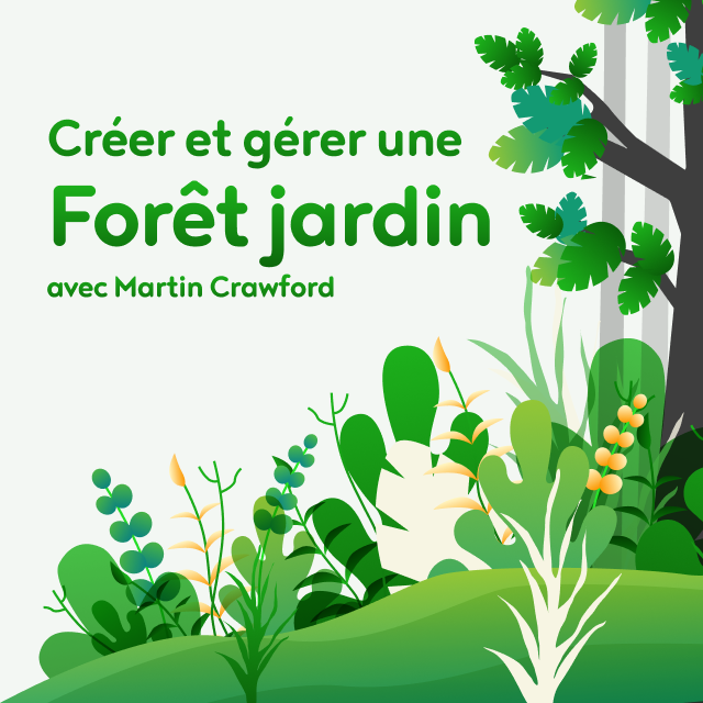 Invitez la permaculture dans votre jardin