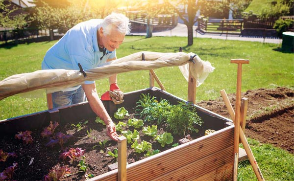 La culture sur butte est une technique de Permaculture avec des avantages et des inconvénients.