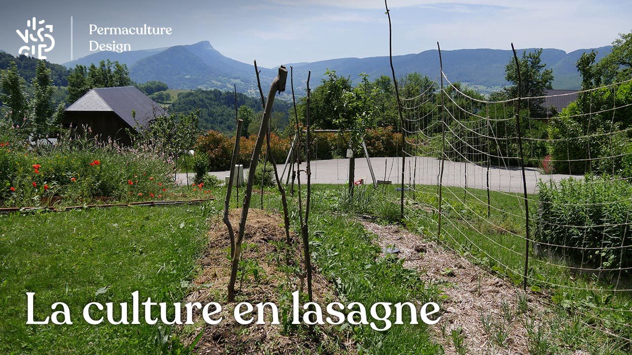 La culture en lasagne en Permaculture