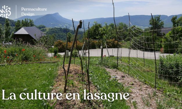 La culture en lasagne en Permaculture