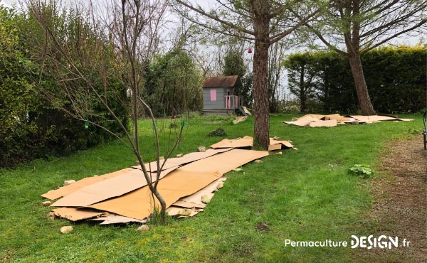 La culture en lasagne est une technique de Permaculture visant à créer des buttes de culture temporaires très fertiles. Un jardin en lasagne ou potager en lasagne se réalise rapidement et facilement si on a les matières organiques à disposition.