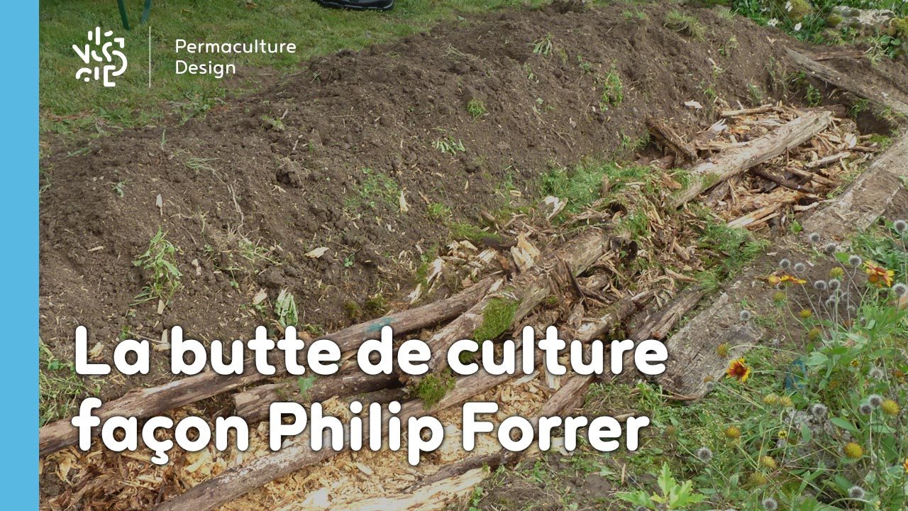 La butte Philip Forrer : une technique atypique