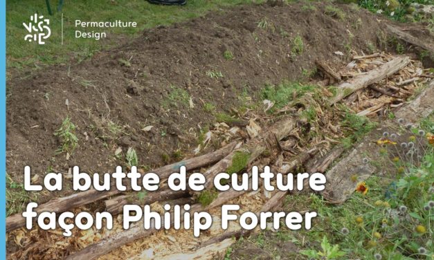 La butte Philip Forrer : une technique atypique