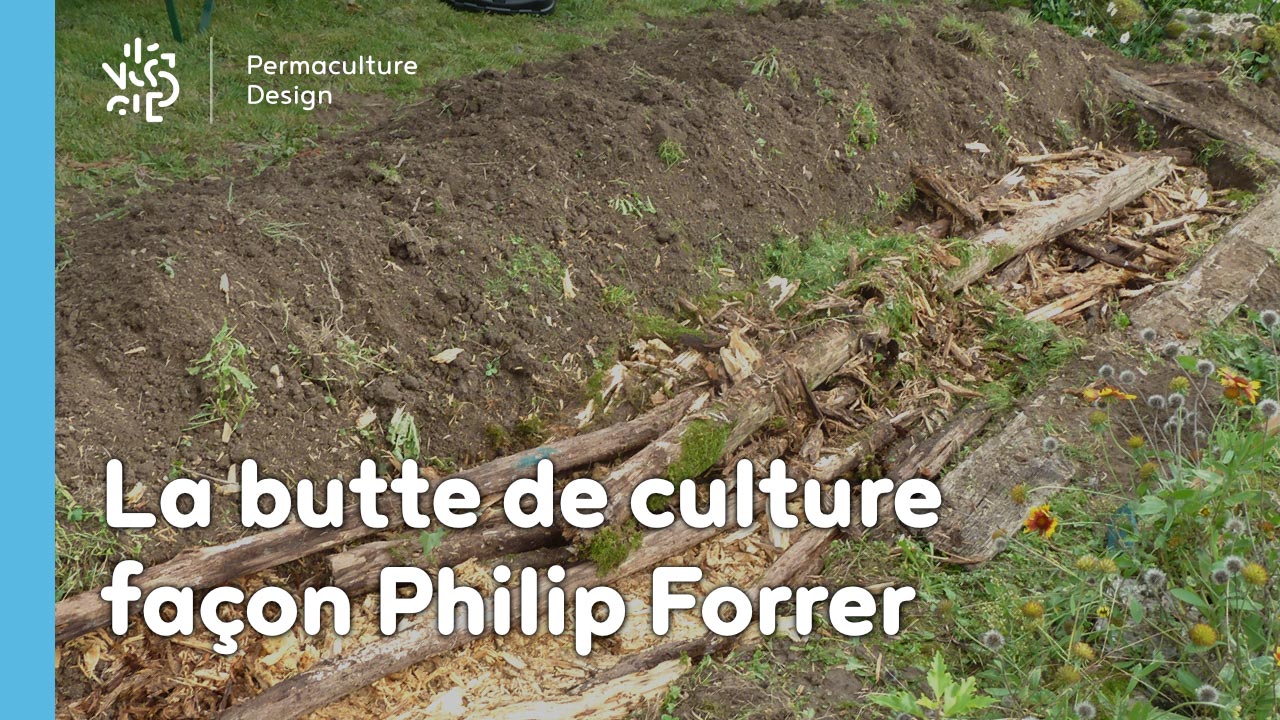 La butte de culture Philip Forrer est une technique de permaculture atypique utilisant des troncs de résineux, du bois broyé et des aiguilles de pin.