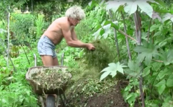 La butte de culture Philip Forrer est une technique de permaculture atypique utilisant des troncs de résineux, du bois broyé et des aiguilles de pin.