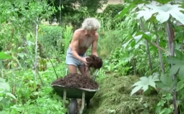 La butte de culture Philip Forrer est une technique de permaculture atypique utilisant des troncs de résineux, du bois broyé et des aiguilles de pin.