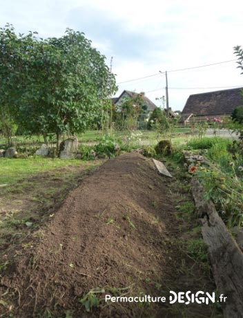 La butte de culture Philip Forrer est une technique de permaculture atypique utilisant des troncs de résineux, du bois broyé et des aiguilles de pin.