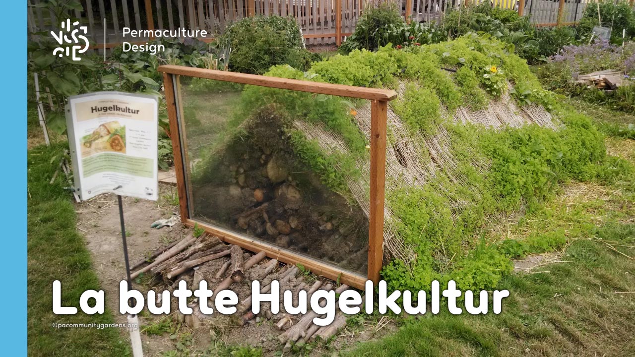 La butte Hugelkultur, contenant beaucoup de bois, est une technique de cultures potagères et fruitières atypique popularisée par Sepp Holzer le célèbre permaculteur autrichien.
