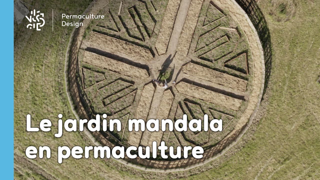 Le jardin mandala en permaculture : un support de culture beau et inspirant