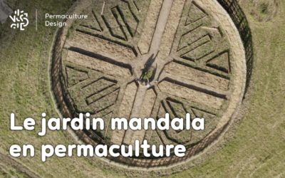 Le jardin mandala en permaculture : un support de culture beau et inspirant