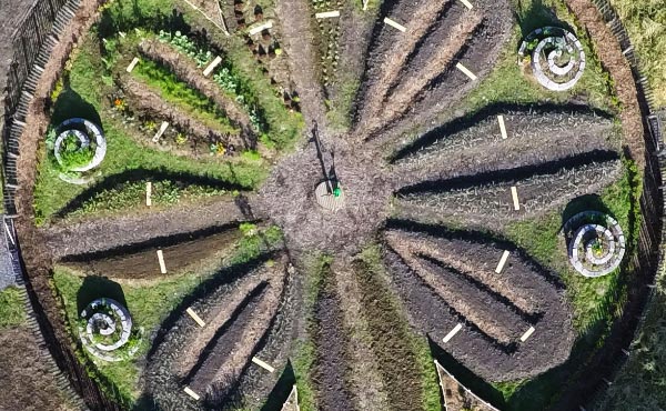 Un jardin mandala en permaculture requiert un agencement spécifique avec des buttes et divers supports de cultures pour créer un espace beau, harmonieux et inspirant riche en biodiversité.