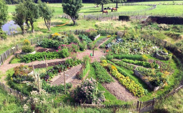 Un jardin mandala en permaculture requiert un agencement spécifique avec des buttes et divers supports de cultures pour créer un espace beau, harmonieux et inspirant riche en biodiversité.