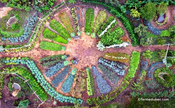 Un jardin mandala en permaculture requiert un agencement spécifique avec des buttes et divers supports de cultures pour créer un espace beau, harmonieux et inspirant riche en biodiversité.