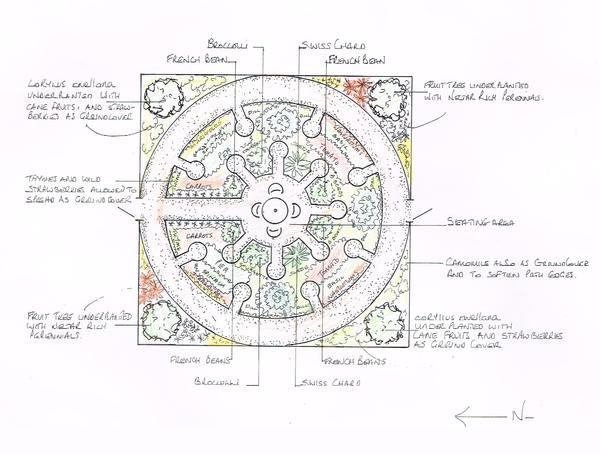 Un jardin mandala en permaculture requiert un agencement spécifique avec des buttes et divers supports de cultures pour créer un espace beau, harmonieux et inspirant riche en biodiversité.